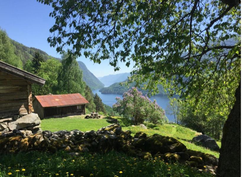 Dalen I Telemark Holiday Home With Garden Luaran gambar